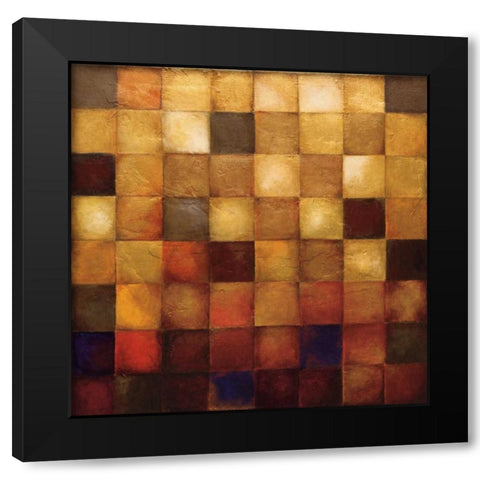Cerveny Black Modern Wood Framed Art Print with Double Matting by Pasion, Wani