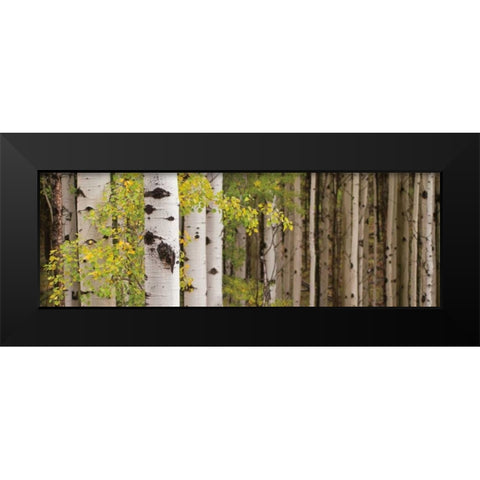 White Forest Standing Black Modern Wood Framed Art Print by Ross, Heather