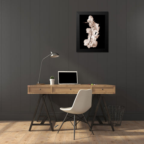 Orchid Dance I Black Modern Wood Framed Art Print by Rehner, John