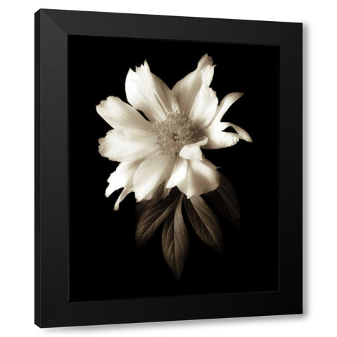 Portrait in White I Black Modern Wood Framed Art Print by Rehner, John