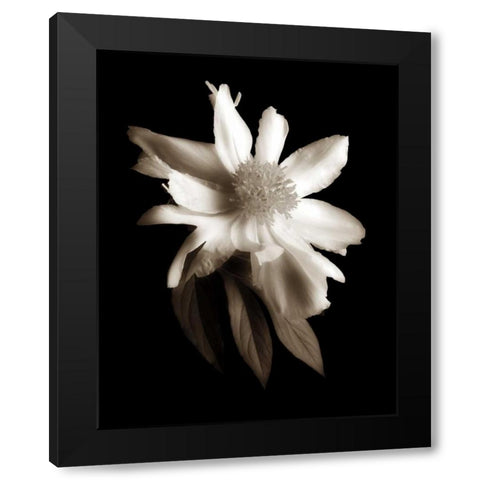 Portrait in White II Black Modern Wood Framed Art Print with Double Matting by Rehner, John