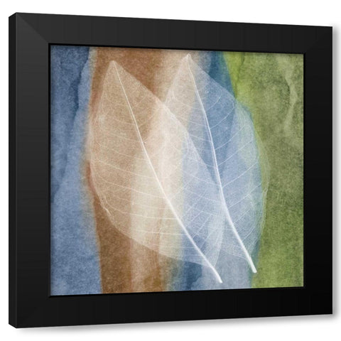Leaf Structure I Black Modern Wood Framed Art Print with Double Matting by Rehner, John