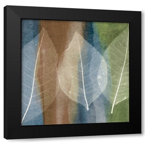 Leaf Structure II Black Modern Wood Framed Art Print with Double Matting by Rehner, John
