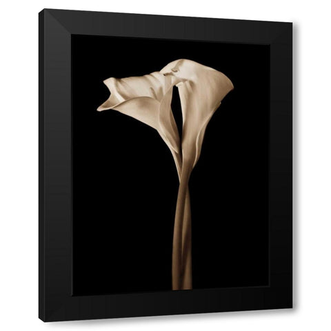The Embrace Black Modern Wood Framed Art Print with Double Matting by Rehner, John