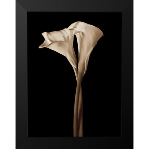 The Embrace Black Modern Wood Framed Art Print by Rehner, John