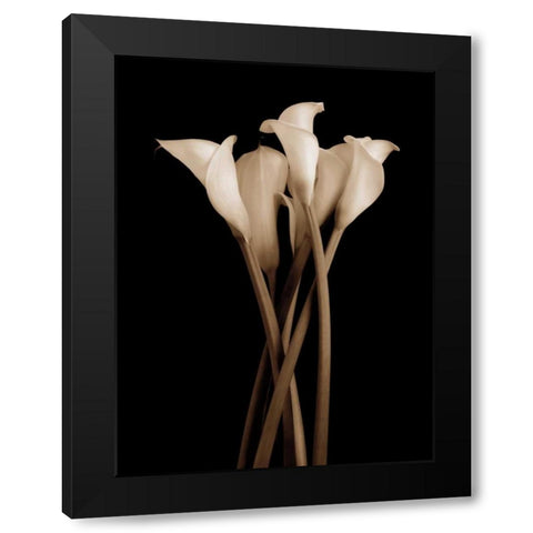 The Gathering Black Modern Wood Framed Art Print with Double Matting by Rehner, John