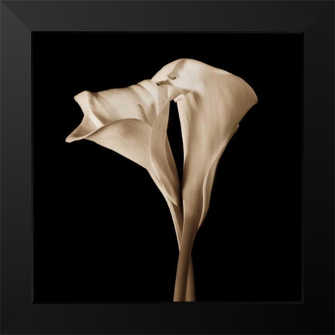 The Embrace Black Modern Wood Framed Art Print by Rehner, John