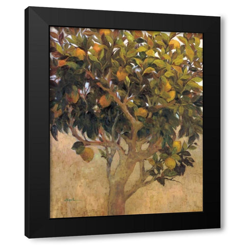 Limonero Black Modern Wood Framed Art Print with Double Matting by Ripoll, J.