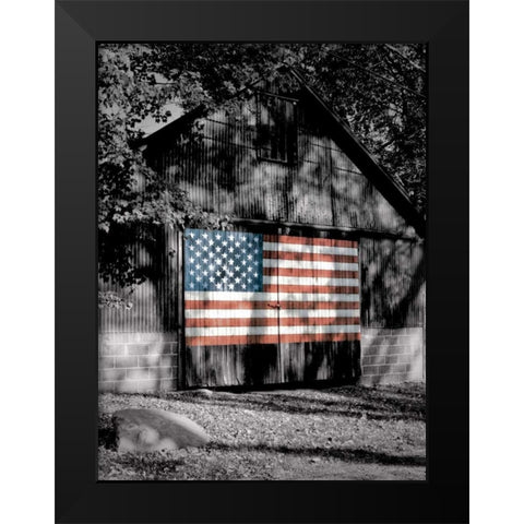 Made in the USA Black Modern Wood Framed Art Print by Roffman, Richard