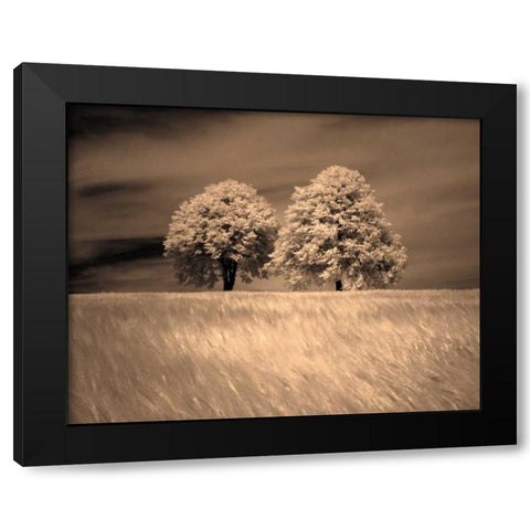 Together and Alone I Black Modern Wood Framed Art Print by Szilagyi, Ily