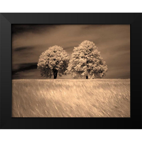 Together and Alone I Black Modern Wood Framed Art Print by Szilagyi, Ily