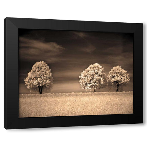 Together and Alone II Black Modern Wood Framed Art Print by Szilagyi, Ily