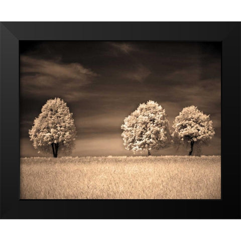 Together and Alone II Black Modern Wood Framed Art Print by Szilagyi, Ily