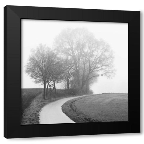 Foggy Afternoon Black Modern Wood Framed Art Print by Szilagyi, Ily