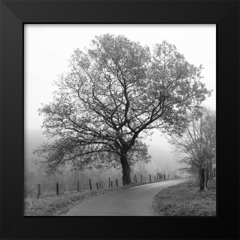 Foggy Afternoon Black Modern Wood Framed Art Print by Szilagyi, Ily