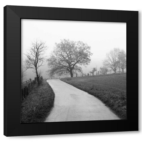 Foggy Afternoon Black Modern Wood Framed Art Print by Szilagyi, Ily