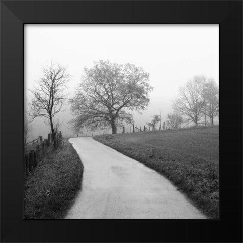 Foggy Afternoon Black Modern Wood Framed Art Print by Szilagyi, Ily