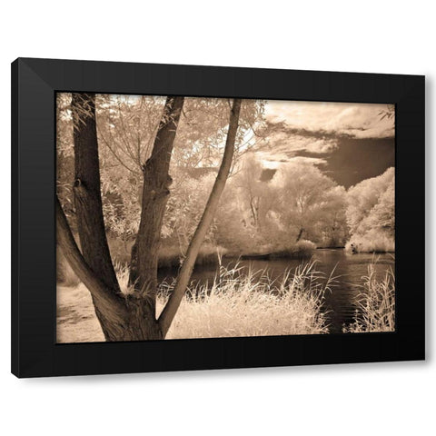 Lakefront View I Black Modern Wood Framed Art Print by Szilagyi, Ily