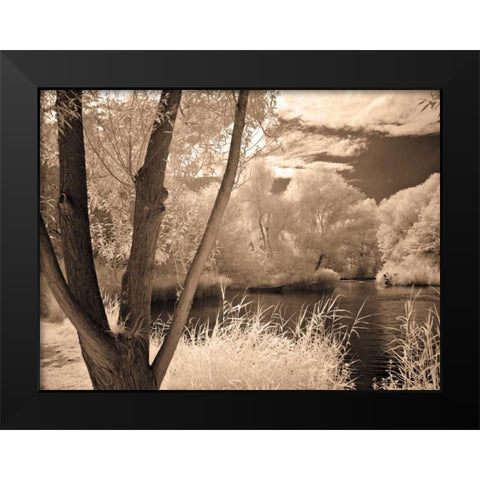 Lakefront View I Black Modern Wood Framed Art Print by Szilagyi, Ily