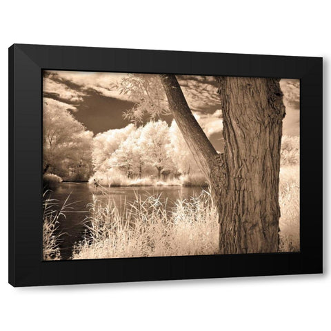 Lakefront View II Black Modern Wood Framed Art Print by Szilagyi, Ily