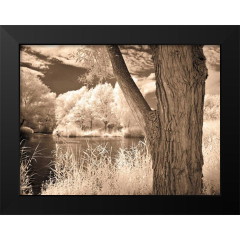 Lakefront View II Black Modern Wood Framed Art Print by Szilagyi, Ily