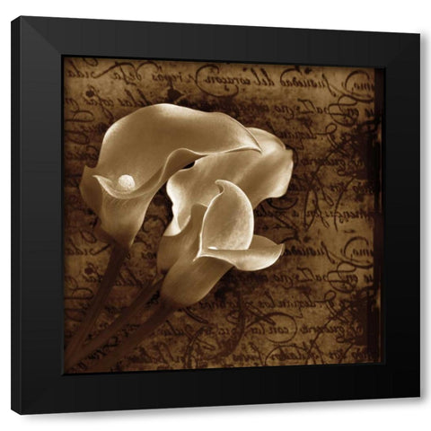 With Love II Black Modern Wood Framed Art Print by Szilagyi, Ily