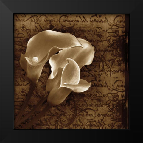 With Love II Black Modern Wood Framed Art Print by Szilagyi, Ily