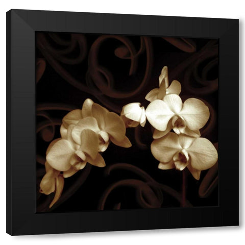 Elegance Black Modern Wood Framed Art Print by Szilagyi, Ily