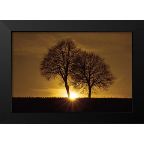 A New Beginning Black Modern Wood Framed Art Print by Szilagyi, Ily