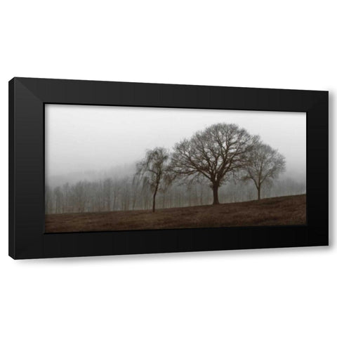 Autumn Fog Black Modern Wood Framed Art Print with Double Matting by Szilagyi, Ily