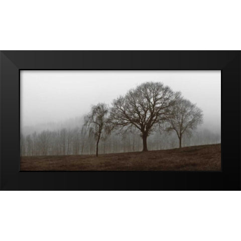 Autumn Fog Black Modern Wood Framed Art Print by Szilagyi, Ily