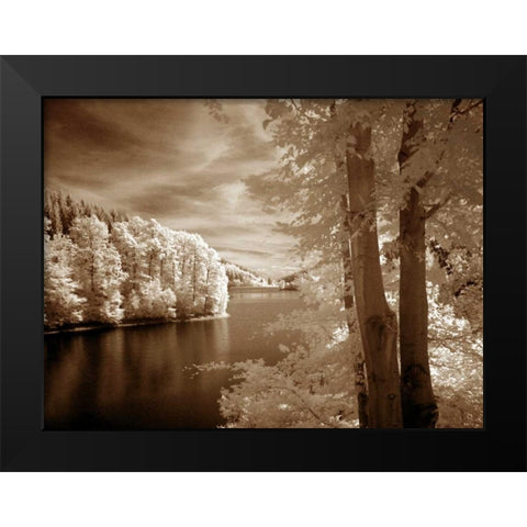 A View To Remember Black Modern Wood Framed Art Print by Szilagyi, Ily