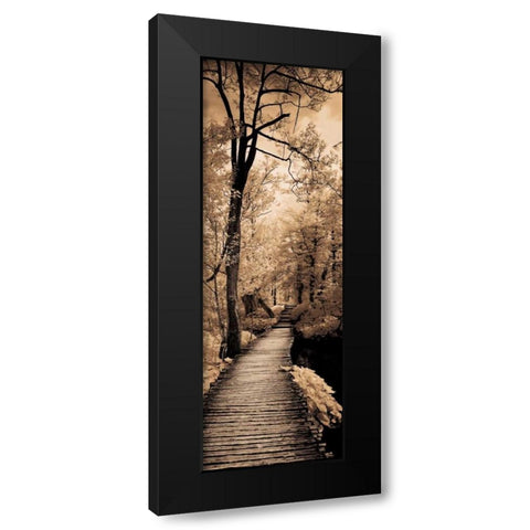 A Quiet Stroll I  Black Modern Wood Framed Art Print by Szilagyi, Ily