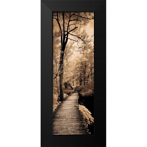 A Quiet Stroll I  Black Modern Wood Framed Art Print by Szilagyi, Ily