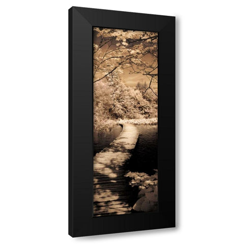 A Quiet Stroll II Black Modern Wood Framed Art Print by Szilagyi, Ily