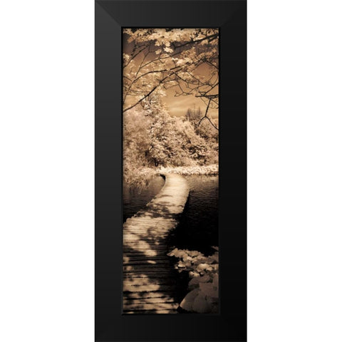 A Quiet Stroll II Black Modern Wood Framed Art Print by Szilagyi, Ily