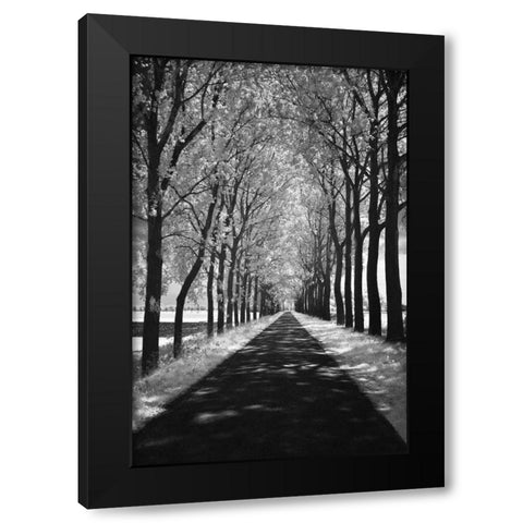 Follow Me Black Modern Wood Framed Art Print with Double Matting by Szilagyi, Ily