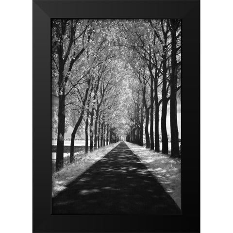 Follow Me Black Modern Wood Framed Art Print by Szilagyi, Ily