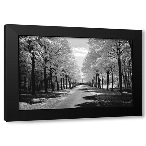 Sublime Black Modern Wood Framed Art Print by Szilagyi, Ily