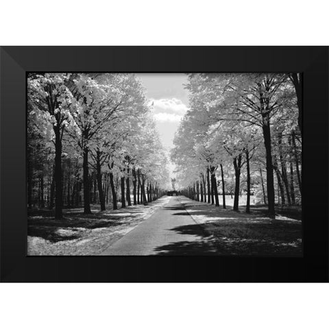 Sublime Black Modern Wood Framed Art Print by Szilagyi, Ily