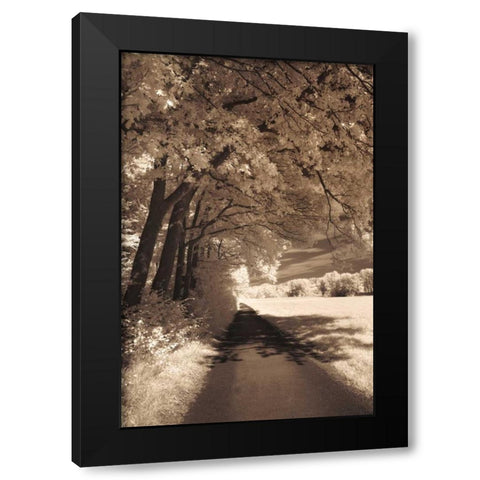 The Path Ahead Black Modern Wood Framed Art Print by Szilagyi, Ily