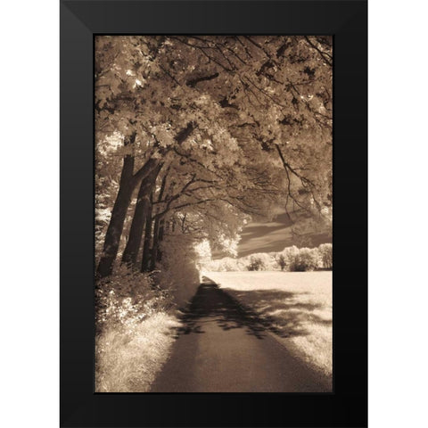 The Path Ahead Black Modern Wood Framed Art Print by Szilagyi, Ily