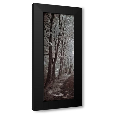A Walk To Remember I Black Modern Wood Framed Art Print with Double Matting by Szilagyi, Ily