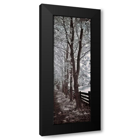 A Walk To Remember II Black Modern Wood Framed Art Print with Double Matting by Szilagyi, Ily