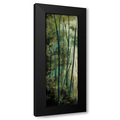 La Senda I Black Modern Wood Framed Art Print by Solis, Luis