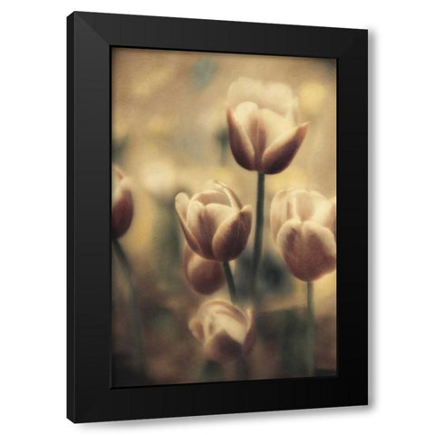 Tinted Tulips III Black Modern Wood Framed Art Print with Double Matting by Schrack, Thea
