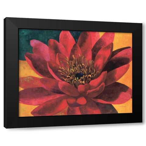 Red Water Lily Black Modern Wood Framed Art Print with Double Matting by Torrontegui, Maria