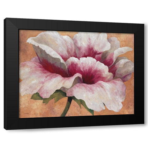 Pink Begonia Black Modern Wood Framed Art Print by Torrontegui, Maria