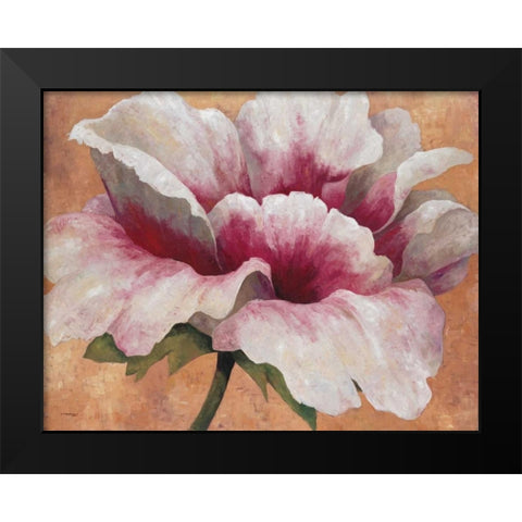 Pink Begonia Black Modern Wood Framed Art Print by Torrontegui, Maria