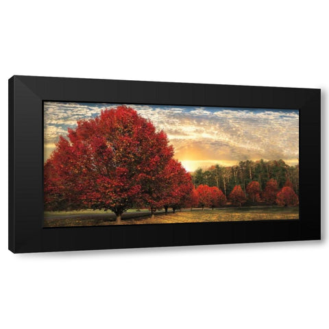 Crimson Trees Black Modern Wood Framed Art Print by Celebrate Life Gallery